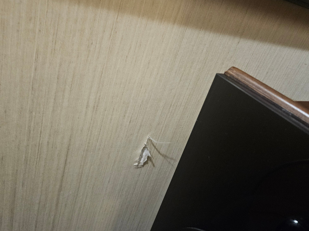 亚历山德里亚马克中心希尔顿酒店主图
