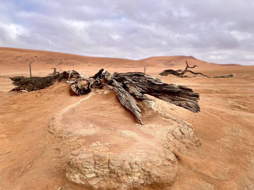 Namib Desert-苏丝斯黎必去景点