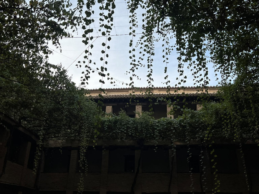 Granada Magic Tours-格拉纳达必去景点
