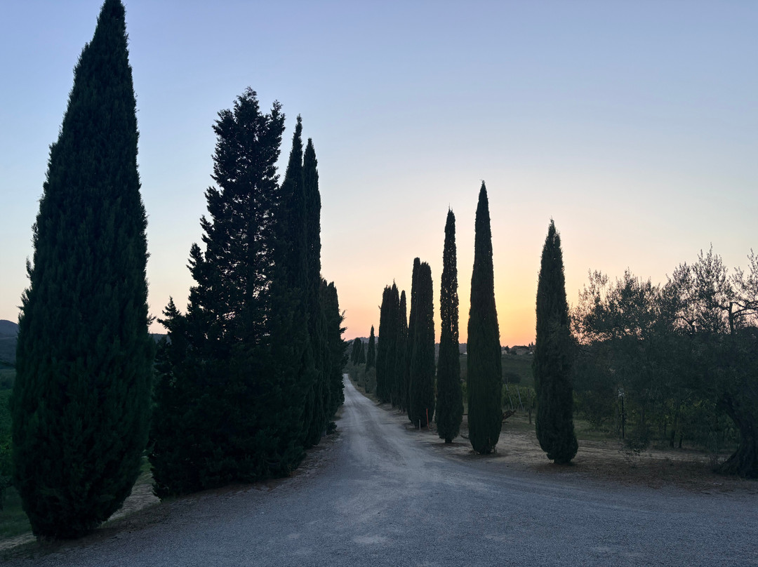 Tenuta Golo - Luxury Vineyard Suites in Montepulciano主图