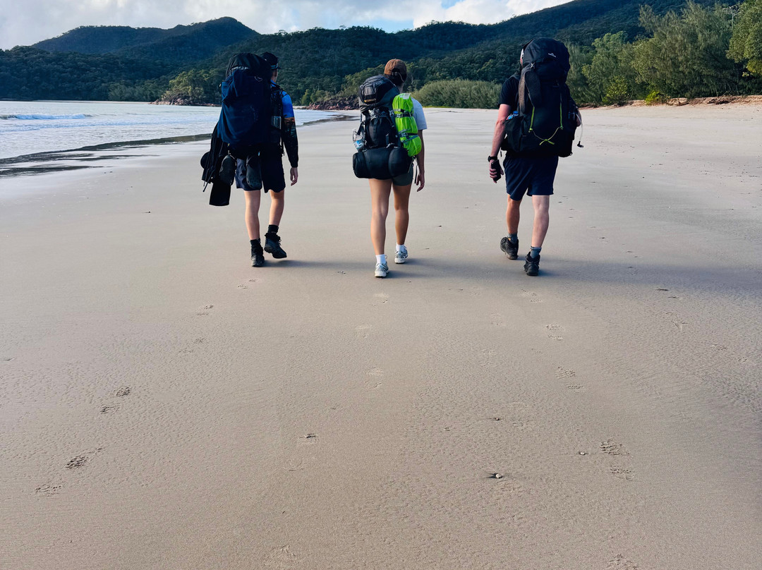 Hinchinbrook Island Cruises-卡德威尔必去景点