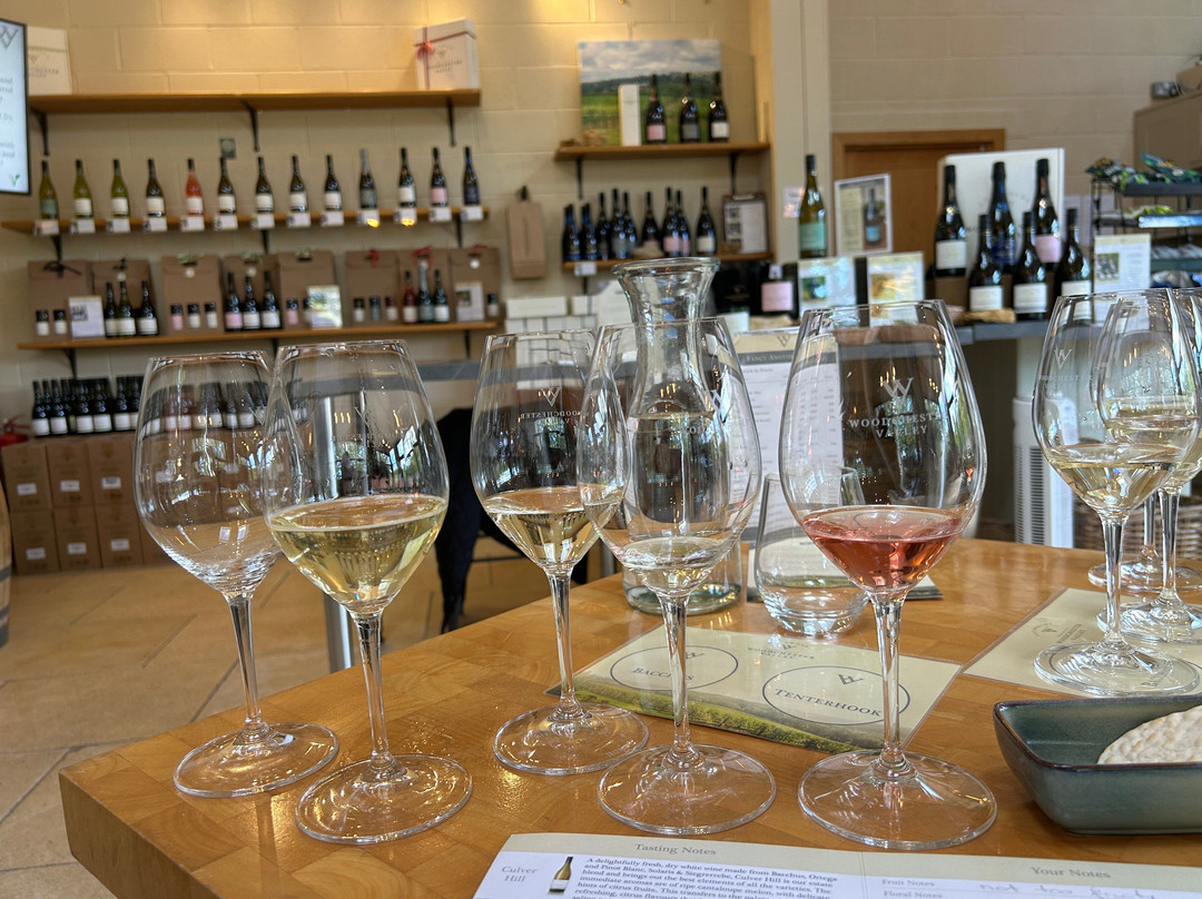 Woodchester Valley Vineyard-斯特劳德必去景点
