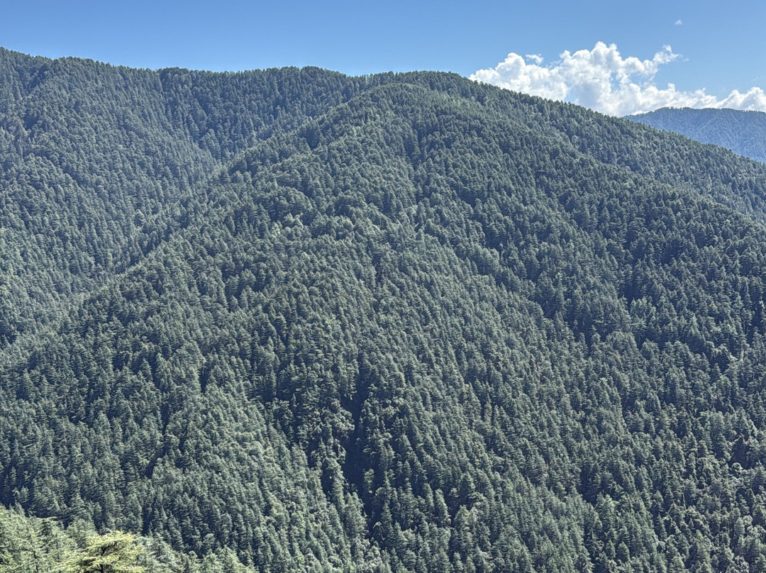 Himachal Car Rental Service-Solan必去景点