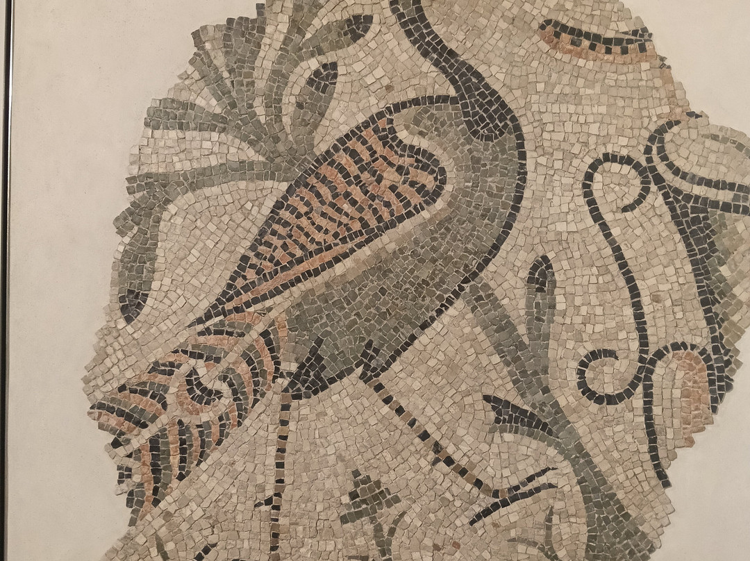 CLASSIS RAVENNA - Museo della Citta e del Territorio-拉韦纳必去景点