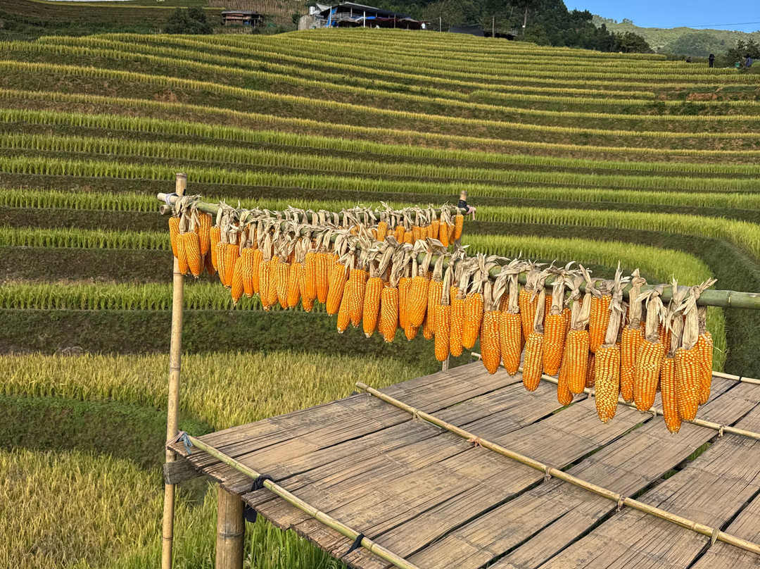Origin Travel Vietnam-河内必去景点