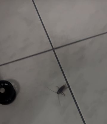 利物浦狩猎酒店-旅行者