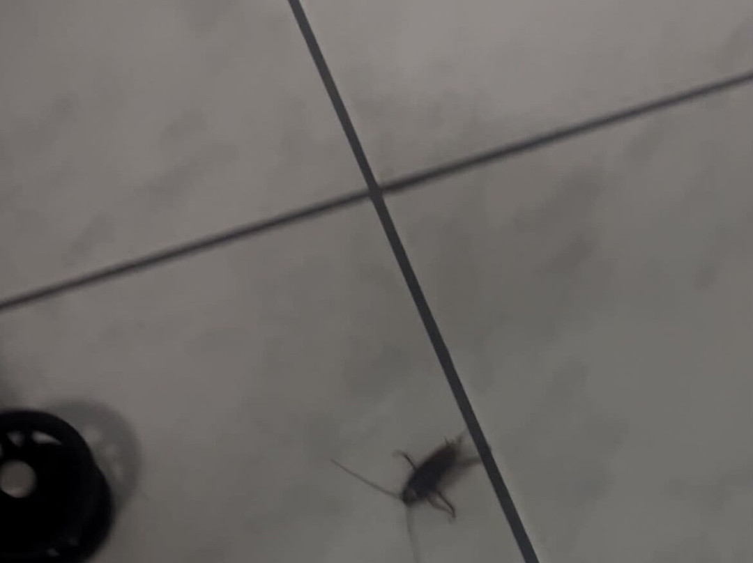 利物浦狩猎酒店主图