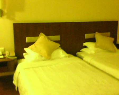 美华荷泰酒店-客卧