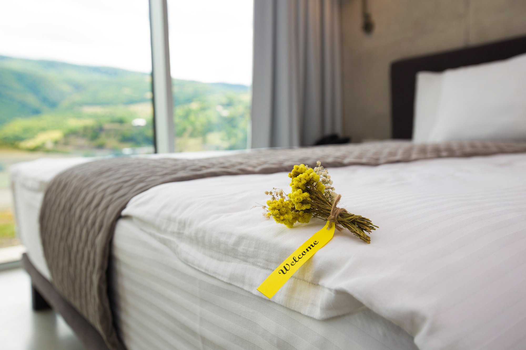 Concept Hotel By COAF-官方