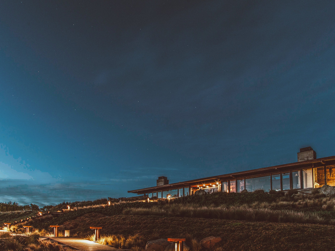 Hotel Alaia - Punta De Lobos主图