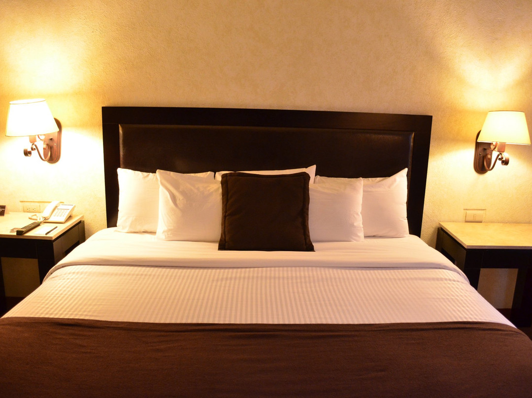 Durango酒店住宿-Hotel Gobernador