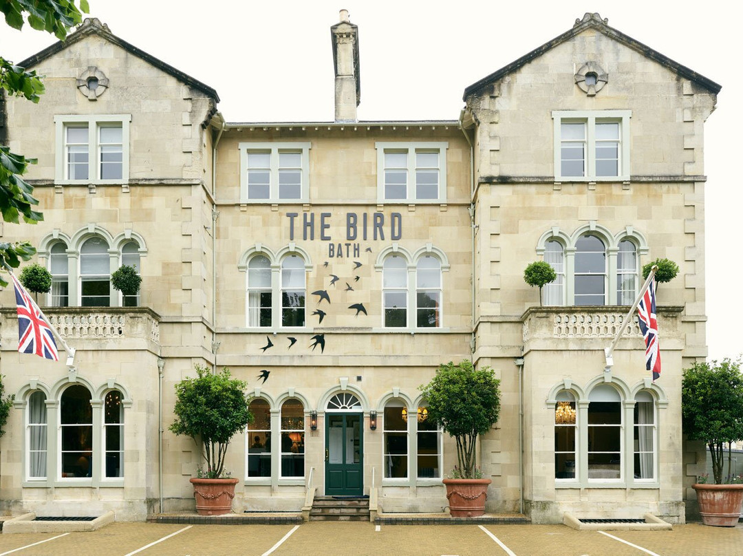 巴斯酒店住宿-The Bird, Bath