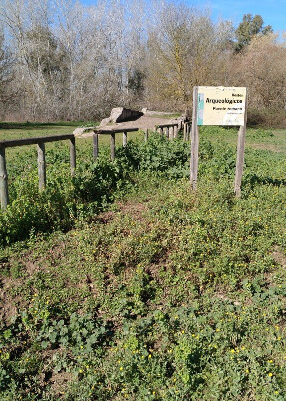 Corredor Verde Del Río Guadiamar景点图片