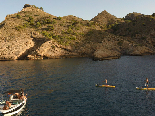 Sea Experience Albir
