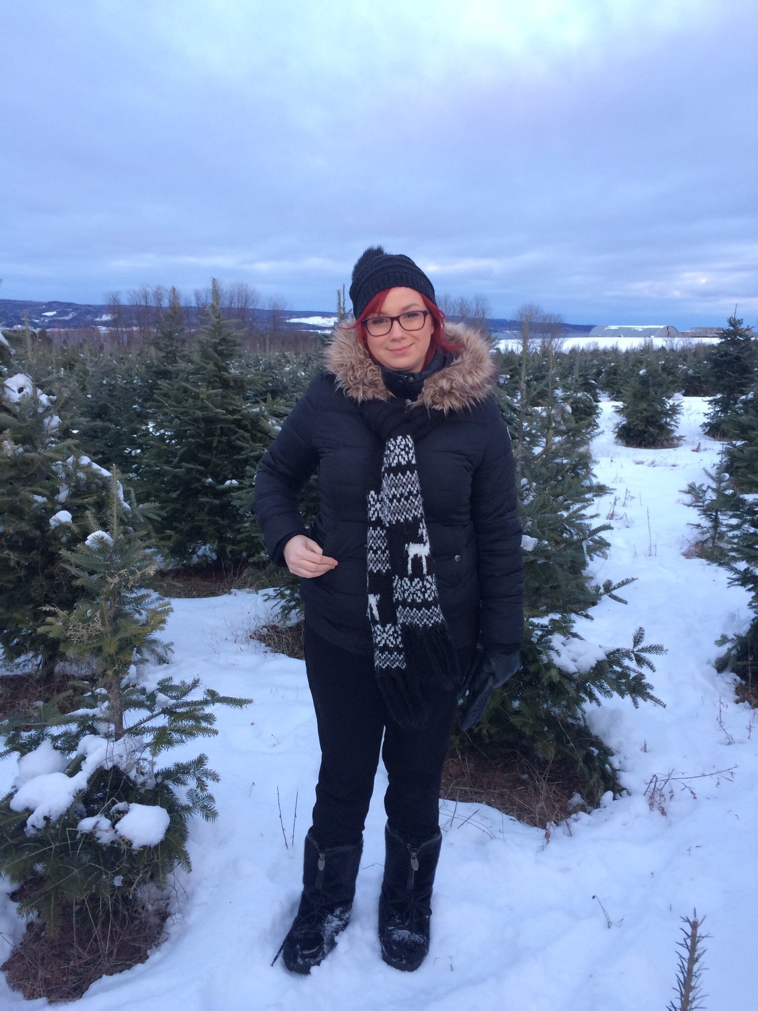Motel Chalets Baie De Gaspe-泳池