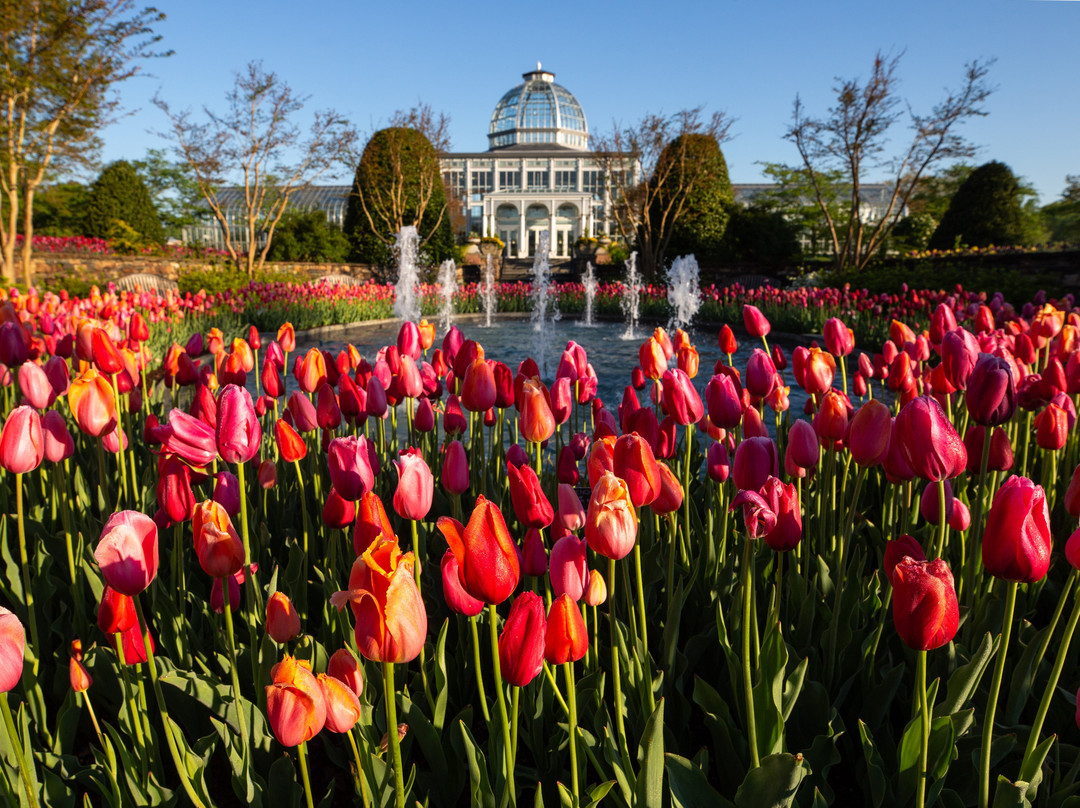 里士满旅游景点-Lewis Ginter Botanical Garden