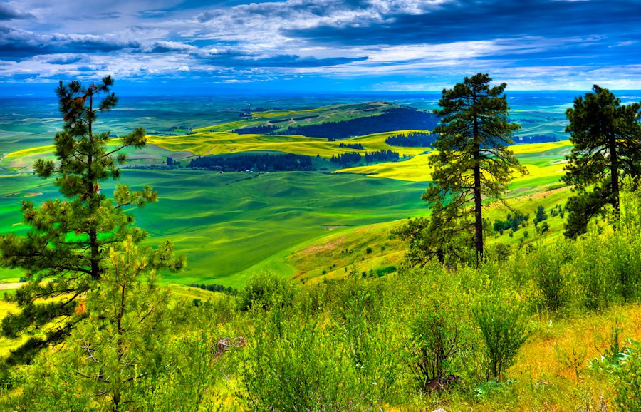 Kamiak Butte County Park景点图片