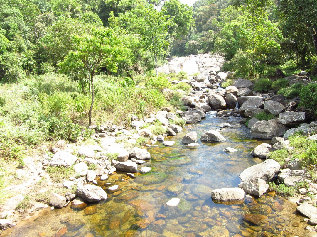 Chinna Kallar Falls景点图片