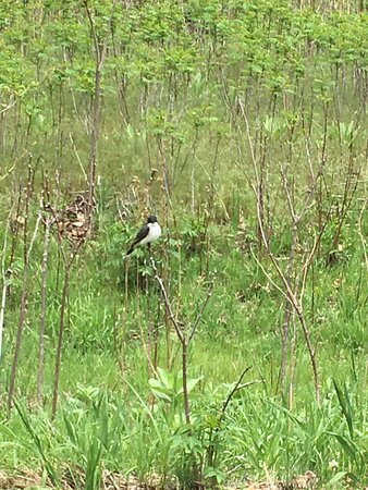 Two Rivers State Recreation Area-Waterloo必去景点