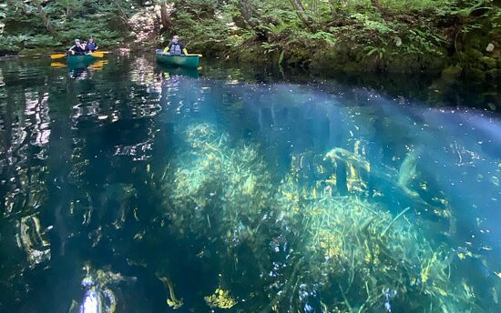 Itomuka no Irie-十和田市必去景点