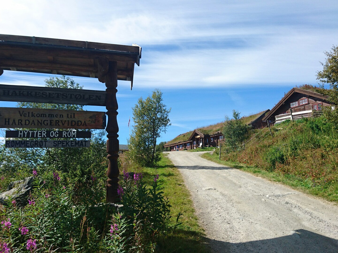Hakkesetstolen Mountain Lodge and Cabins主图