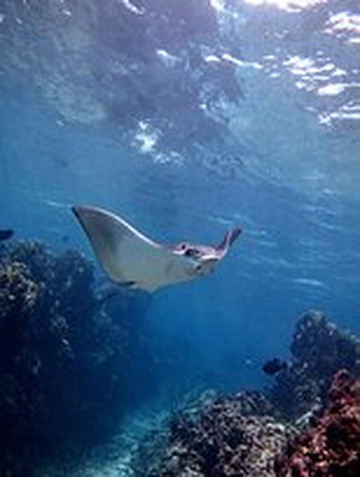 Caribe Extremo-圣安德烈斯必去景点