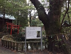 Sumiyoshi Shrine-壹岐市必去景点