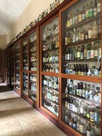 Jango Tour Paraty-帕拉地必去景点