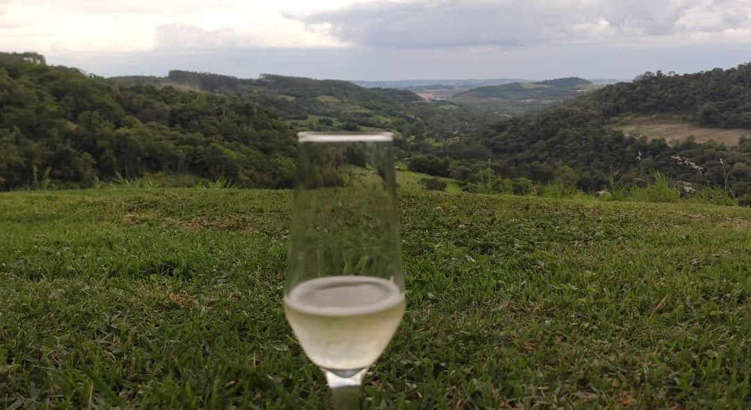 Vinícula Ametista-Ametista do Sul必去景点