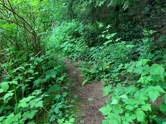 Rock Sitting Creek Waterfall-Skidegate必去景点