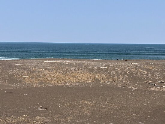 Ryugudai Panoramic Park-涌别町必去景点