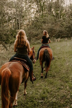 Mountaintop Ranch Wilderness Trail Rides-Elkton必去景点