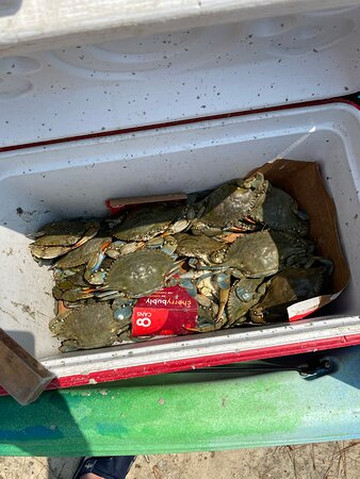 J & L Kayak Tours-美特尔海滩必去景点