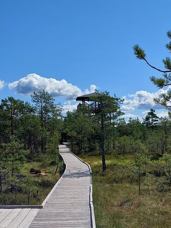 Food Sightseeing Estonia-塔林必去景点