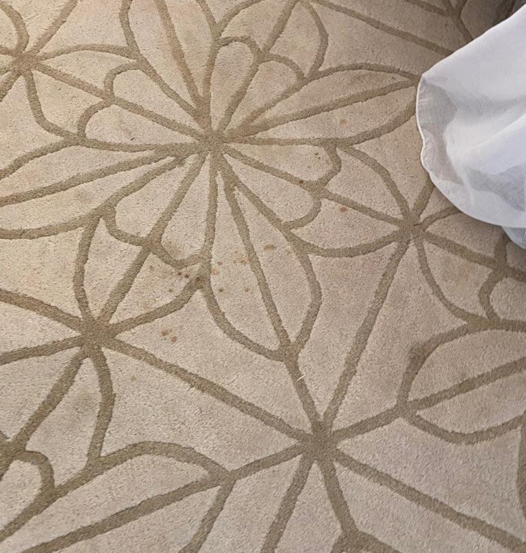 桑给巴尔柏悦酒店主图