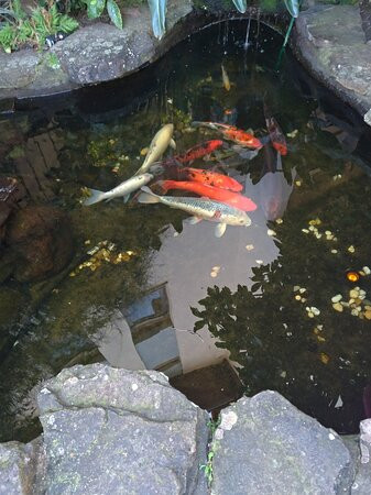 Hotel Pousada Serrana主图