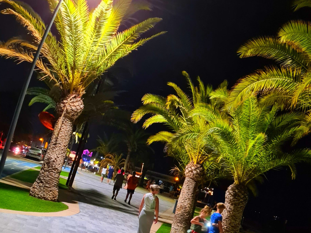 Playa La Puntica景点图片