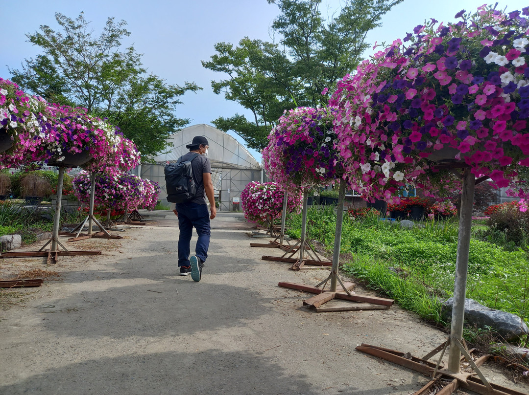 World Flower Botanical Garden景点图片