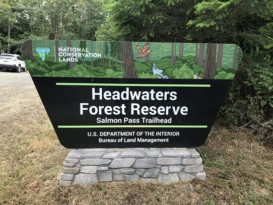 Headwaters Forest Reserve景点图片