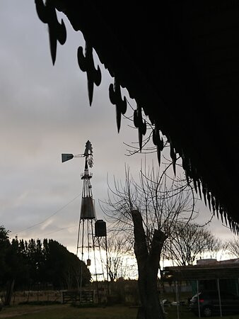 Los Dos Vagones主图