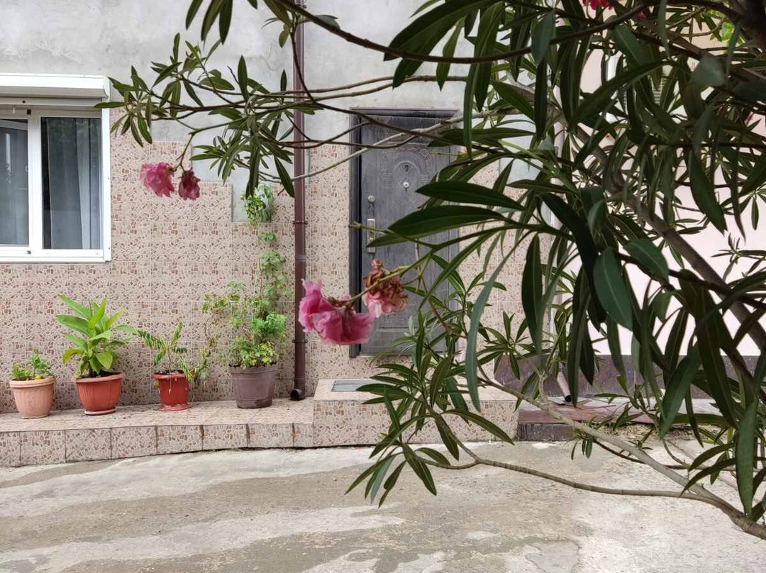 Guest House Olga