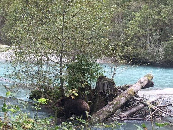 Discovery Marine Safaris Ltd.-坎贝尔里弗必去景点