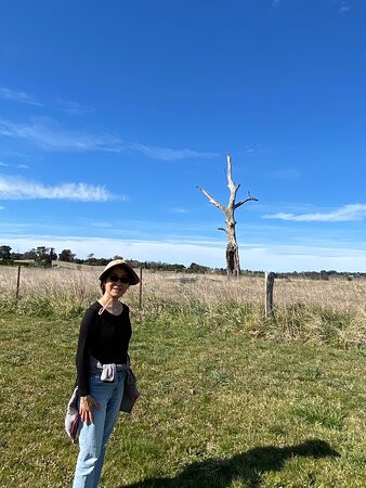 Bong Bong Common-Burradoo必去景点