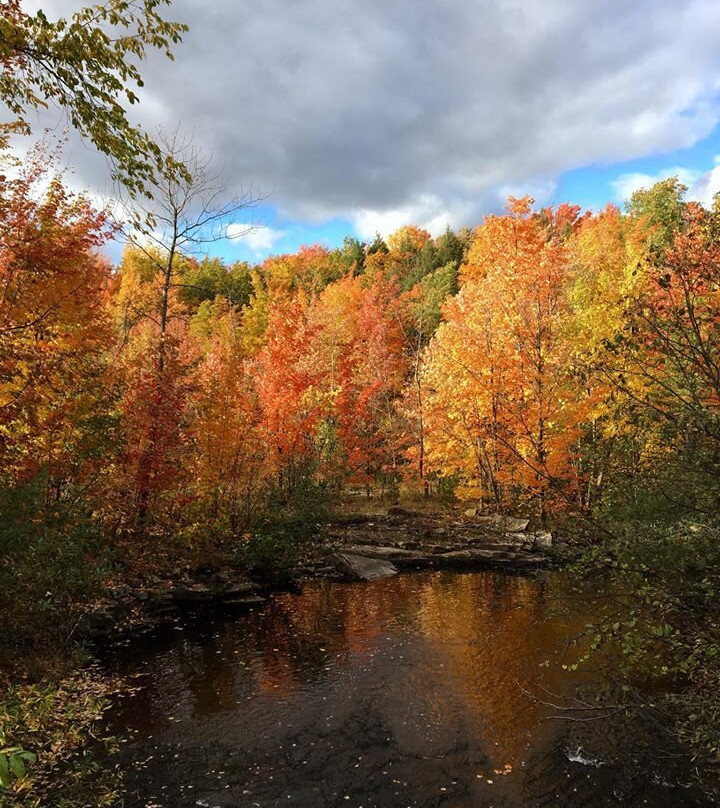 Vergers Rockburn Orchards-Hinchinbrooke必去景点