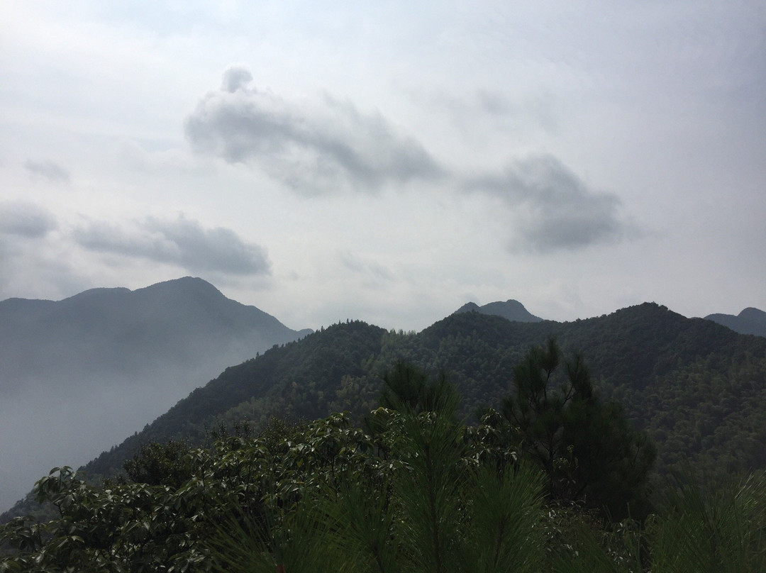 江山金陵大酒店主图