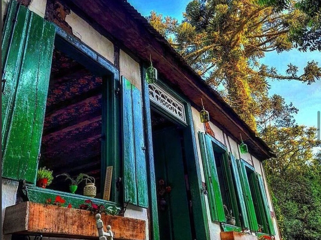 Capim Limão Arte Café