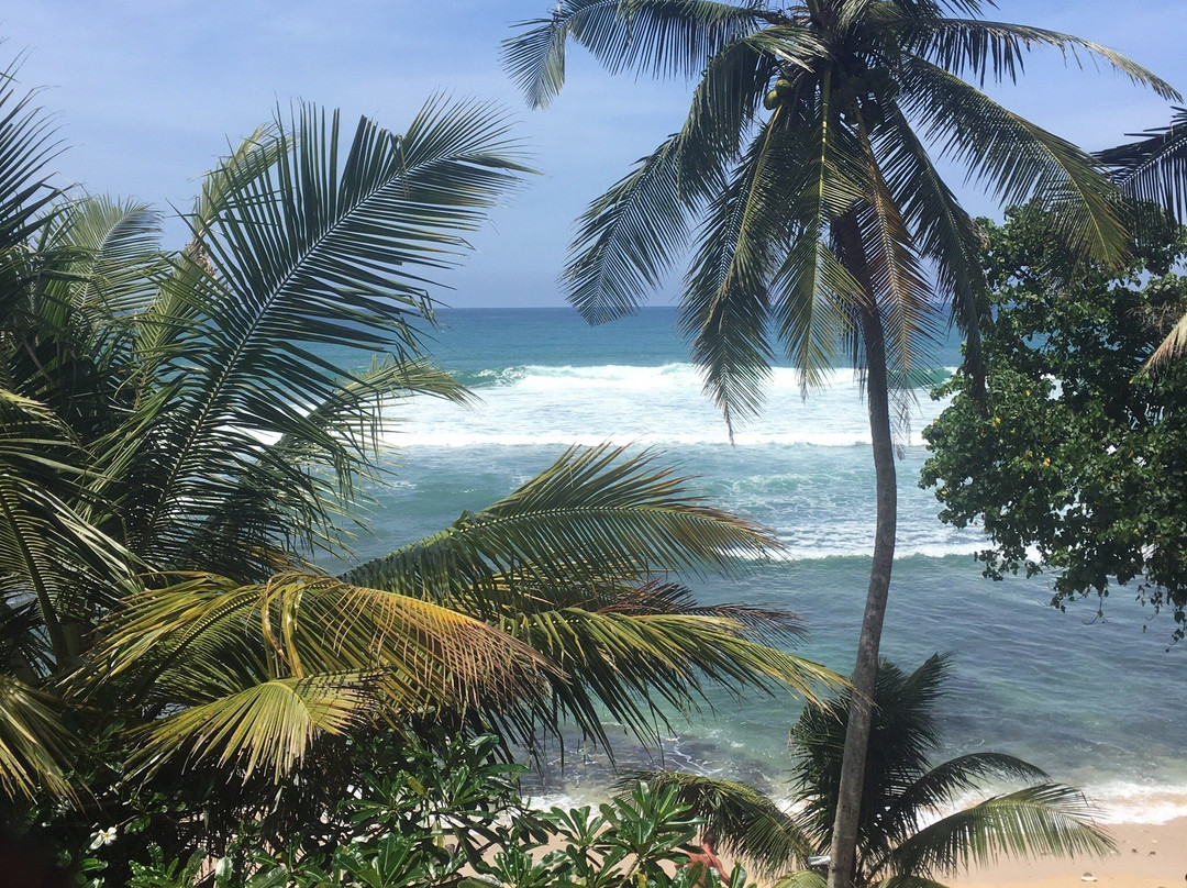 Jayanthi Surf Dreams主图