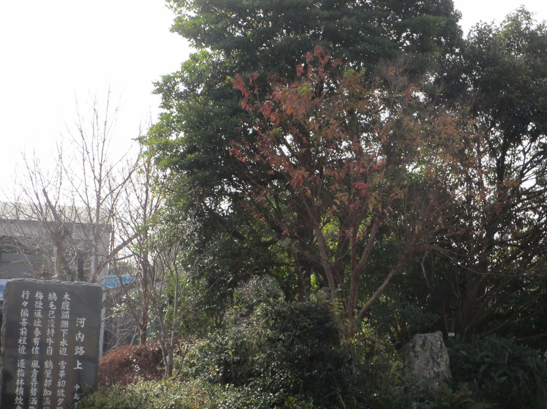 Yayoi Furusato Park景点图片