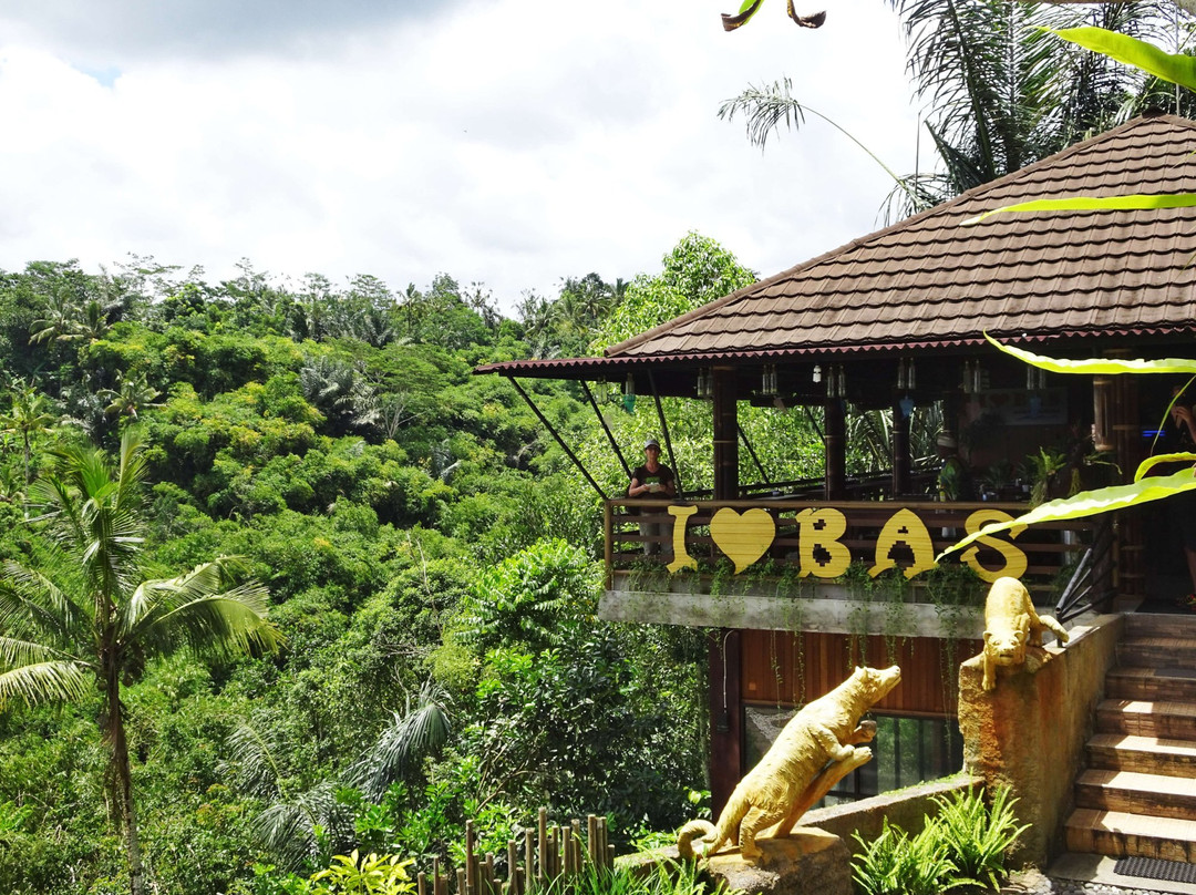 Buana Amertha Sari (BAS)-邦利必去景点