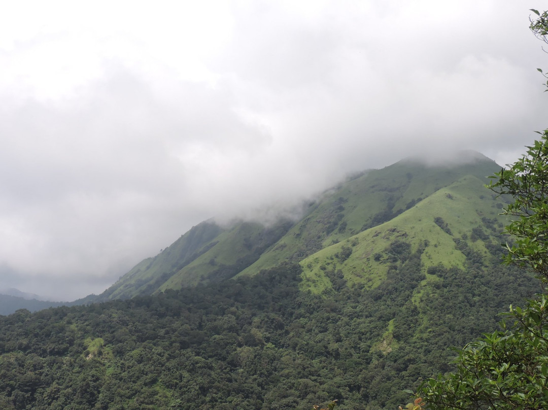 Chikkamagaluru District旅游攻略图片